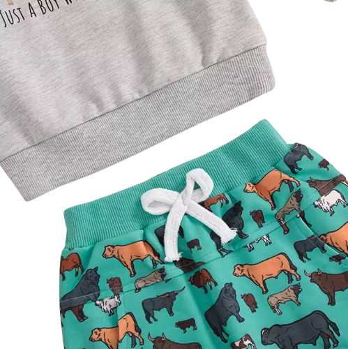 The Reid - Baby Boy Fall Farm Long Sleeve Round Neck Sweatshirt with Animal Print Pants