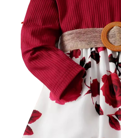 The Kiara - Baby Girl Red Long Sleeved Flower Skirt Dress