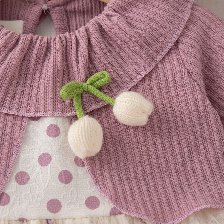 The Wynter - Baby Girl Purple Knit Long Sleeve Dress Red Polka Dot Print Mesh with Bow