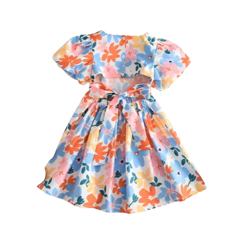 The Evelyn - Baby Girl Colourful Floral Short-Sleeved Dresses