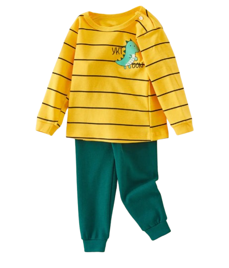 The Ryder - Baby Boy Dino/ Penguin Print Long Sleeve Top & Pants