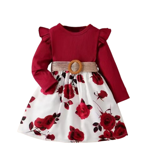 The Kiara - Baby Girl Red Long Sleeved Flower Skirt Dress