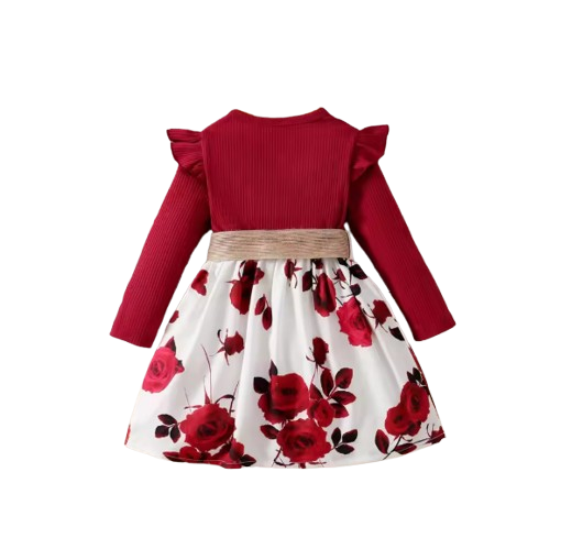 The Kiara - Baby Girl Red Long Sleeved Flower Skirt Dress