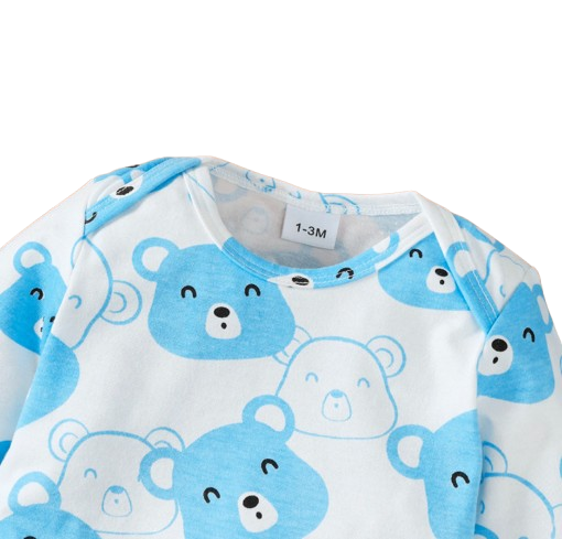 The Fabian - Baby Unisex Light Blue Little Bear Long Sleeve Bodysuit + Pants + Hat + Socks 4pcs Outfit Set
