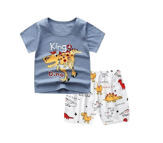 The Zayne - Baby Boy Dinosaur Cartoon Print T-shirt + Loose Shorts