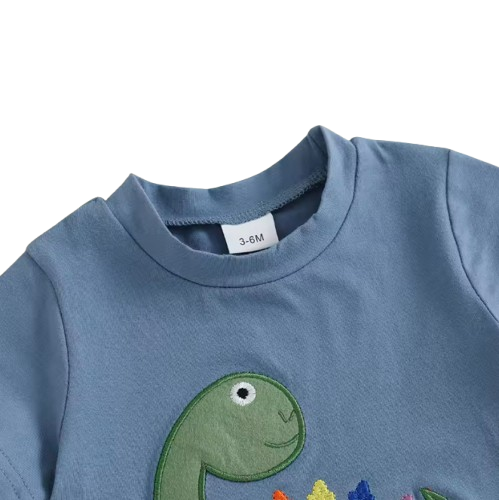 The Erik - Baby Boy Short Sleeve O Neck Dinosaur Embroidery Tops and Striped Shorts Set