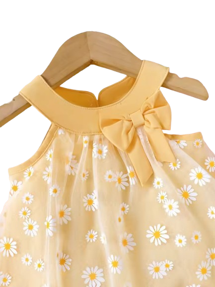 The Rosalia - Baby Girl 2PCS Daisy Mesh Off Shoulder Top & Shorts Summer Outfit