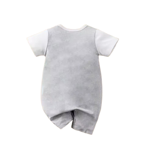 The Leonard - Newborn Baby Boy Zebra Cartoon Romper Short Sleeve Summer Set 2PCS