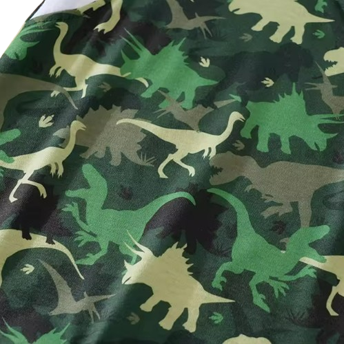 The Azael - Newborn Baby Boy Green Dinosaur Print Romper Short Sleeve Summer Outfit