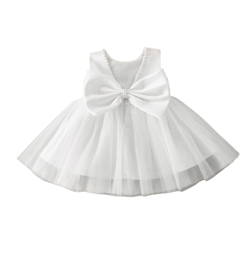 The Aya - Newborn Baby Girl Floral Party Dress Elegant Ball Gown Style