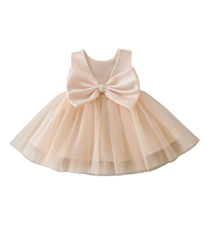 The Aya - Newborn Baby Girl Floral Party Dress Elegant Ball Gown Style