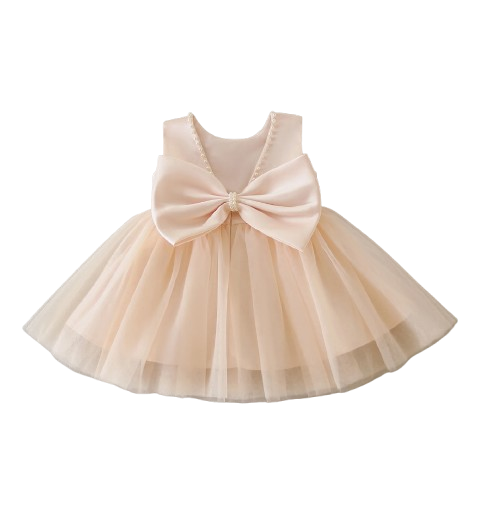 The Aya - Newborn Baby Girl Floral Party Dress Elegant Ball Gown Style