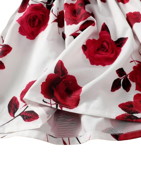 The Aleena - Girls Red Floral Party Dress Long Sleeve Birthday Wedding Outfit