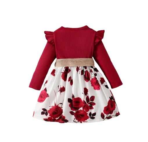 The Aleena - Girls Red Floral Party Dress Long Sleeve Birthday Wedding Outfit