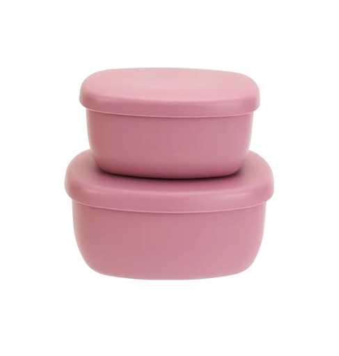 The Scout - Baby Food Storage Containers 2PCS Leak Proof Lunch Box with Lids for Toddlers
