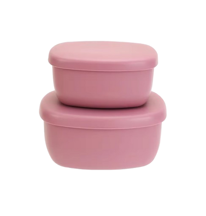 The Scout - Baby Food Storage Containers 2PCS Leak Proof Lunch Box with Lids for Toddlers