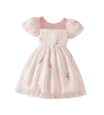 The Chana - Girls Summer Mesh Flower Embroidered Dress Bubble Sleeve Princess Outfit