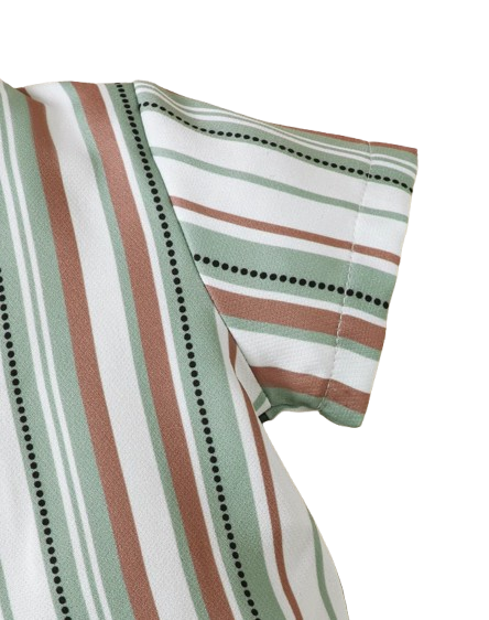 The Cannon - Baby Boy Summer 2-Piece Dinosaur Print Striped Outfit Set