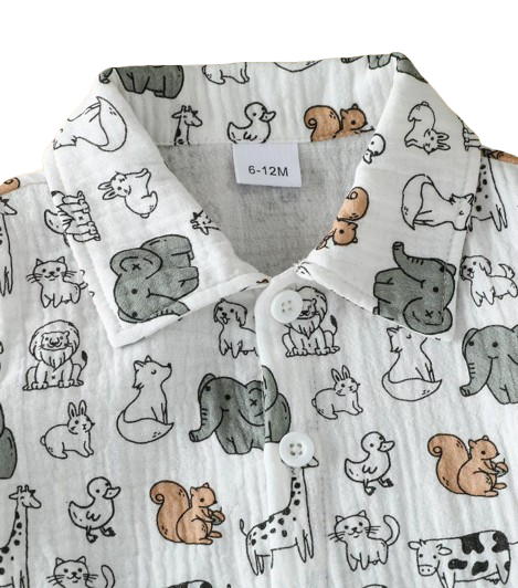 The Bode - Baby Boy Summer 2-Piece Dinosaur Print T-Shirt and Shorts Set