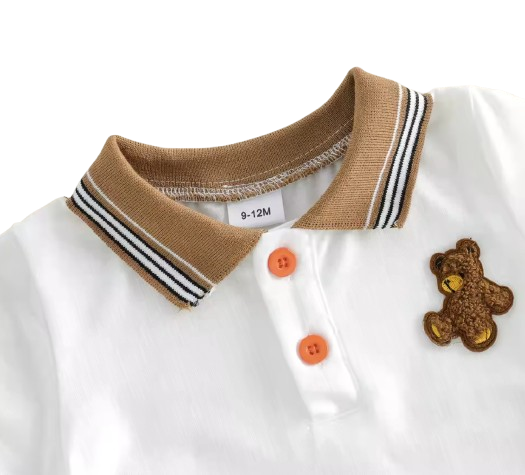 The Zyair - Baby Boy Summer 2-Piece Bear Embroidered T-Shirt and Shorts Set