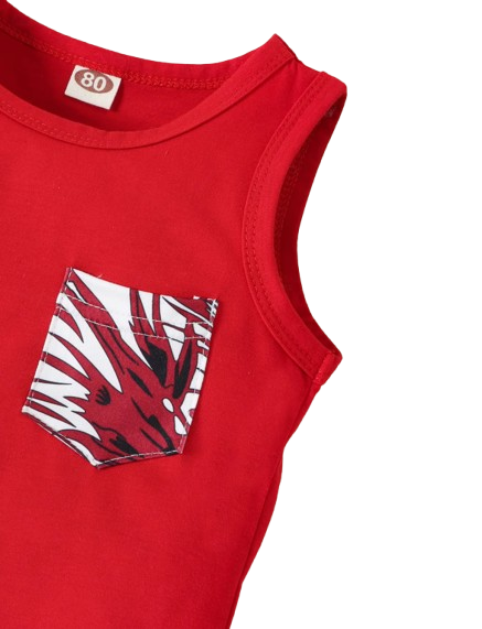 The Ayan - Baby Boy Summer 2-Piece Sleeveless Vest and Printed Shorts Set
