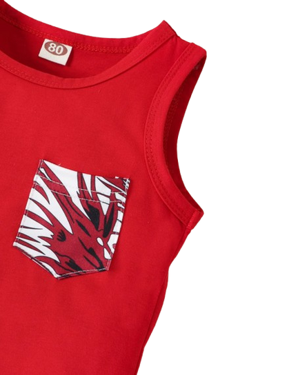 The Ayan - Baby Boy Summer 2-Piece Sleeveless Vest and Printed Shorts Set