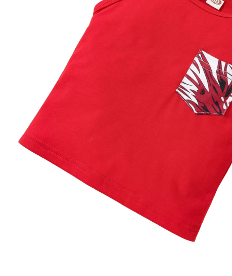 The Ayan - Baby Boy Summer 2-Piece Sleeveless Vest and Printed Shorts Set